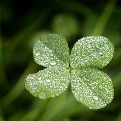 BO半岛综合app安全下载app下载